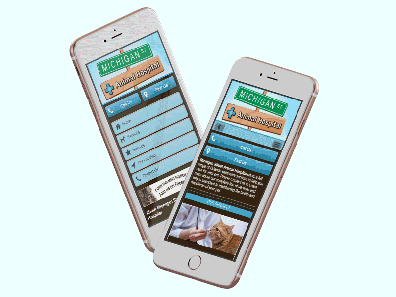 Mobile Website Design