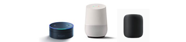 voice search