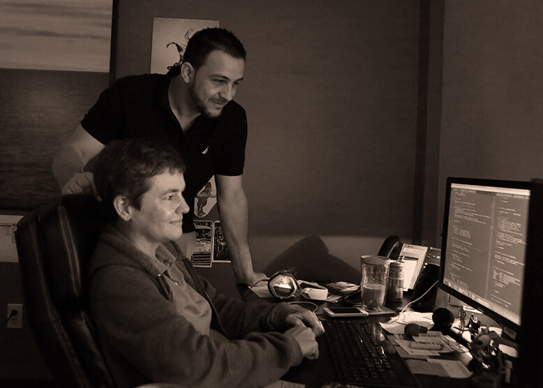 Web developer and SEO Working on WordPress site
